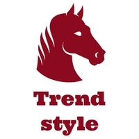 trend  Style