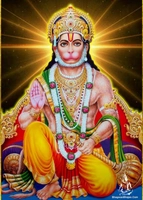 Shree Hanuman Traders