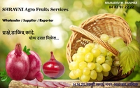 Shravni Agro Fruits Services