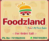 Foodzland Food Van