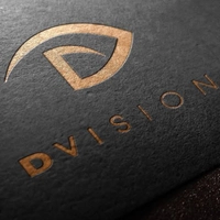 D-Vision Security System