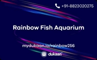 Rainbow Fish Aquarium