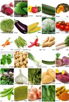 Green & Fresh Vegetables