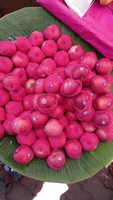 Wow Fresh Fruits