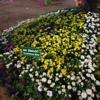 Rajeswaridurga