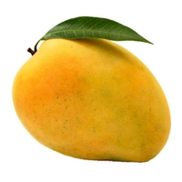 Mangofresh