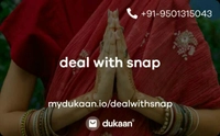 Deal with Snap