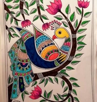 Amoha Collection