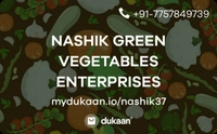 NASHIK GREEN VEGETABLES ENTERPRISES