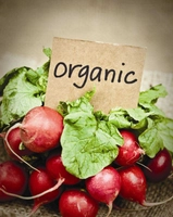 New Fresh Organic &vegetables &fruiths Shope Item