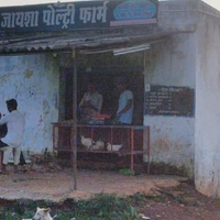 Jaysha poultry farm & chicken center