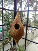 CocoWing