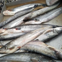 Mulani fish shop