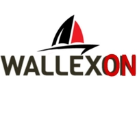 WalleXon interior designs