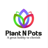 Plant N Pots