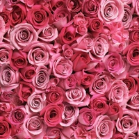 Flower shop at your door step