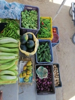 Gulshan Gothwal Fruits&vegetable