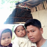 Herlin Store