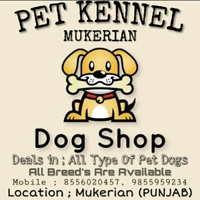 Pet kennel mukerian
