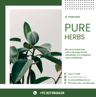 Pure Herbs
