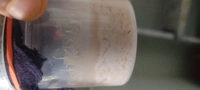 Aquarium Fish Food