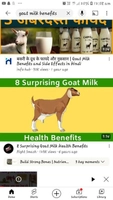 Goat Milk
