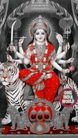 Prince Kushwaha Garments
