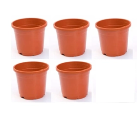 productImg