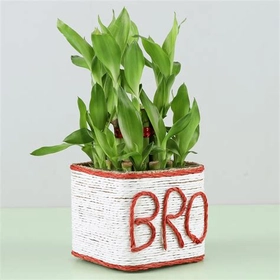 productImg
