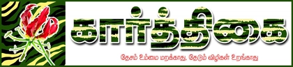 store-logo