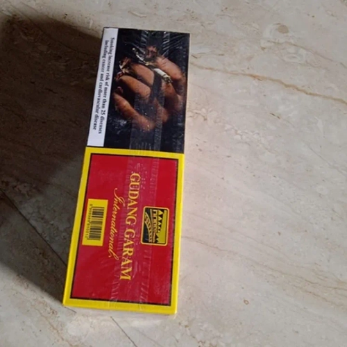 Gudang Garam