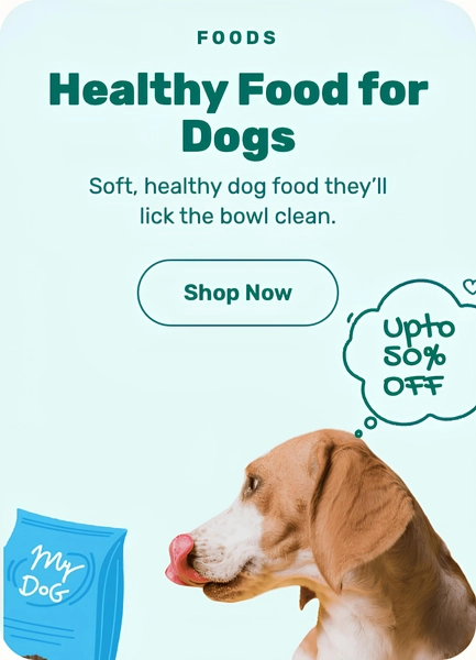 bannerImage