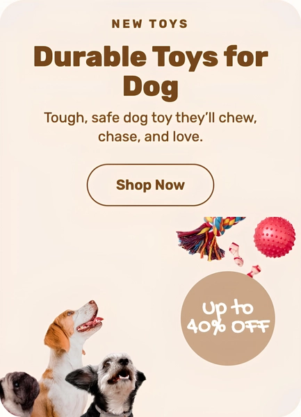 bannerImage