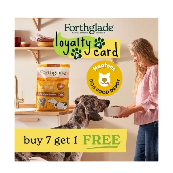 bannerImage