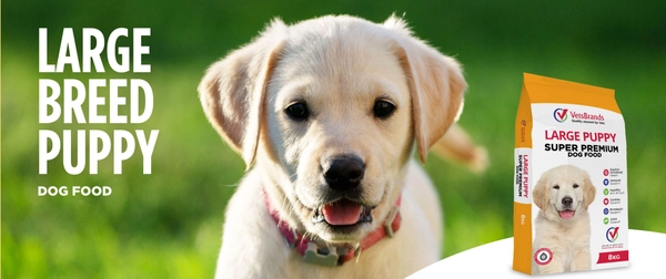 bannerImage