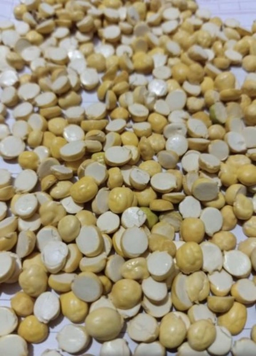 दाळवा(Dalva)