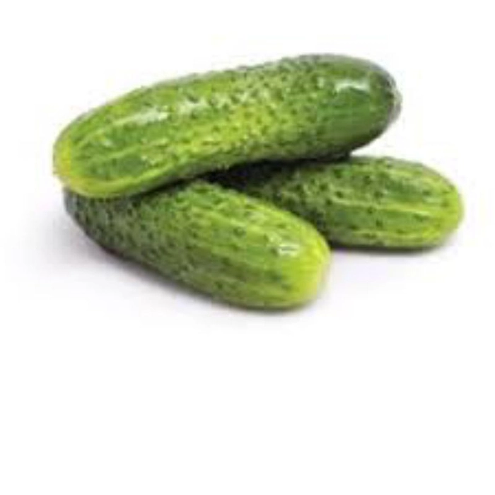 Cucumber (खीरा)