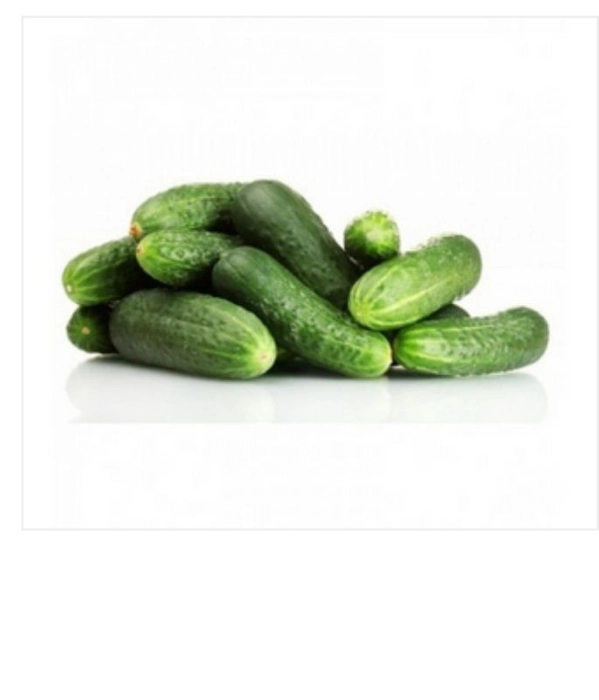 Cucumber (खीरा)