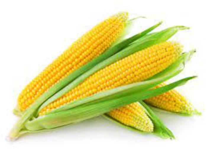 Corn Cob(भुट्टा)