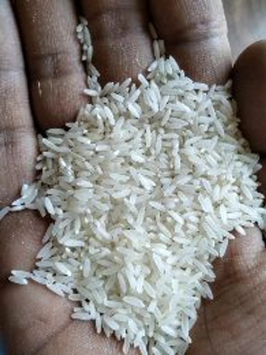 Shri Ram Lachkari Kolam Rice