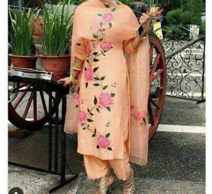 Paint 2024 punjabi suit