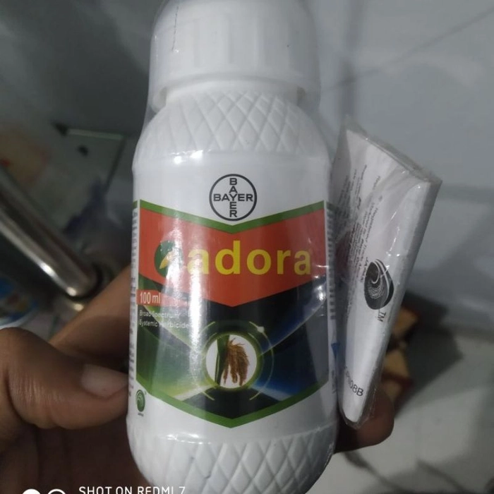 Bayer hot sale adora price