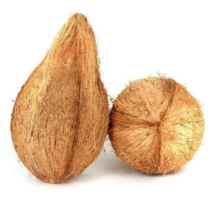 नारियल