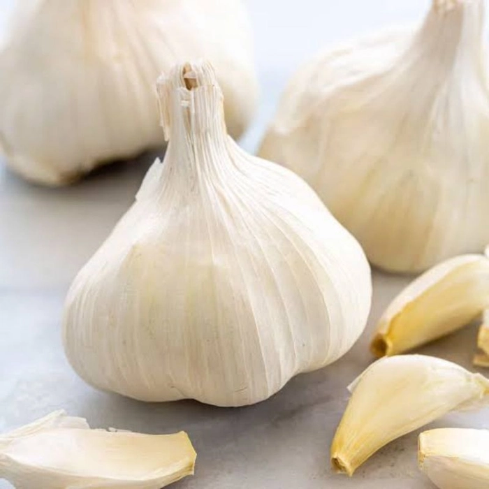 Fresh Garlic (Lassan)