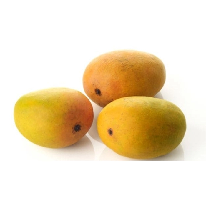 Hamam Mango's