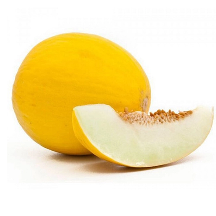 Sun Melon (1.5 to 1.7 KG)