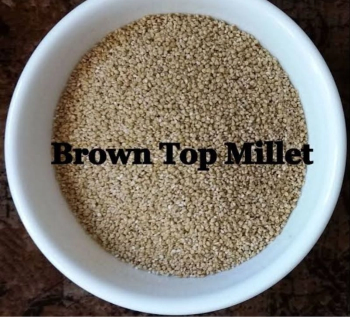 Browntop Millets/ Andu Korralu 500g