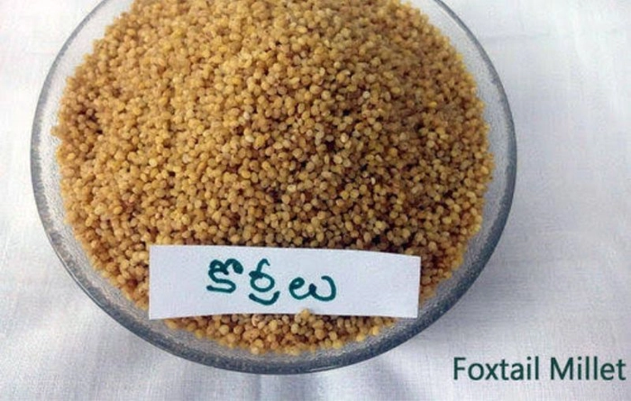 Foxtail Millets/ Korralu 500g