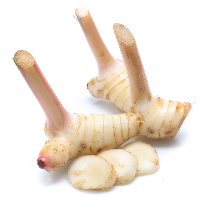 Galangal (Thai Ginger)