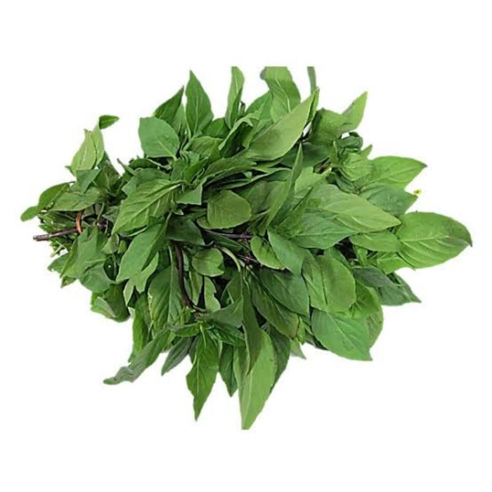 A1👌Basil Leaves 600gm Pack